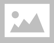 Itallion Tomato Sause 700g